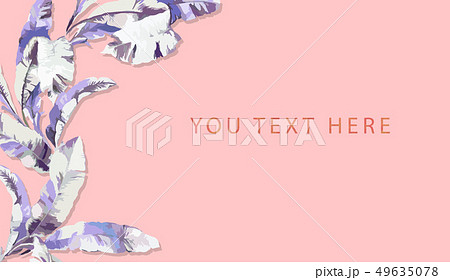 木の葉 葉 草の葉 49635078