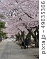 桜　さくら　青森県　十和田市　官庁街通り 49635366