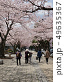 桜　さくら　青森県　十和田市　官庁街通り 49635367