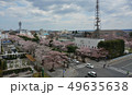 桜　さくら　青森県　十和田市　官庁街通り 49635638