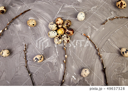 Quail  Easter eggs on grey background with willow 49637328