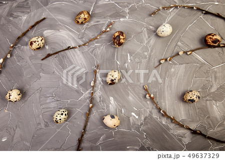 Quail  Easter eggs on grey background with willow 49637329