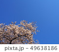 桜 49638186