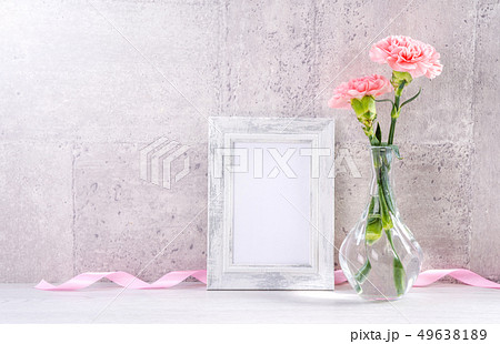 カーネーション ハマナデシコ 花 49638189