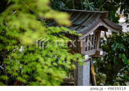 検見川神社 49639319
