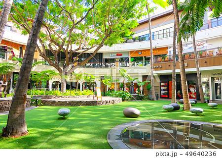 インターナショナルマーケットプレイス（ハワイ） 49640236