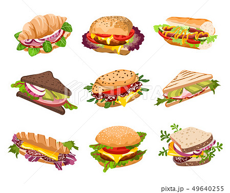 vector sandwiches illustration vector sandwiches illustration 49640255
