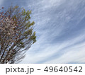 空と木 49640542