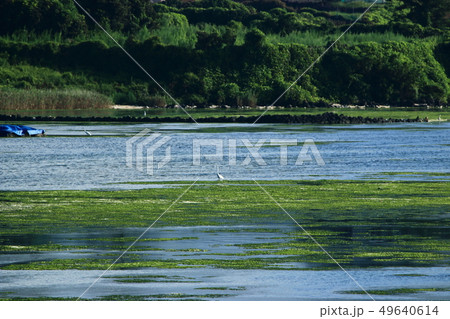 風景 観光 風 49640614