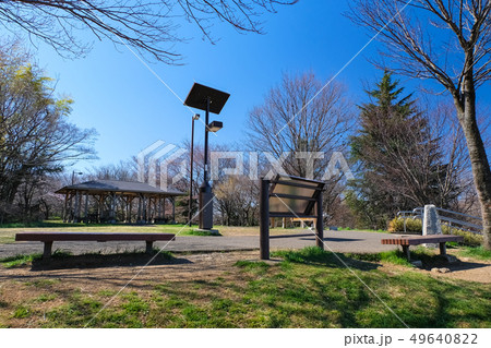 多摩市 都立桜ヶ丘公園 ゆうひの丘 49640822