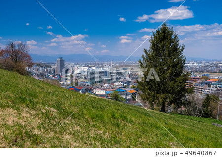 春 多摩市 都立桜ヶ丘公園 ゆうひの丘 49640867