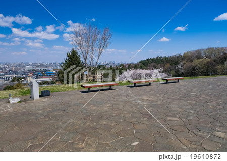 春 多摩市 都立桜ヶ丘公園 ゆうひの丘 49640872