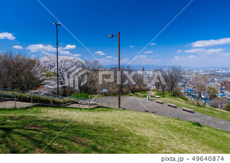 春 多摩市 都立桜ヶ丘公園 ゆうひの丘 49640874