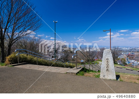 多摩市 都立桜ヶ丘公園 ゆうひの丘 春 多摩市 都立桜ヶ丘公園 ゆうひの丘 春 49640880
