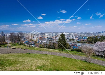 春 多摩市 都立桜ヶ丘公園 ゆうひの丘 春 多摩市 都立桜ヶ丘公園 ゆうひの丘 49640884