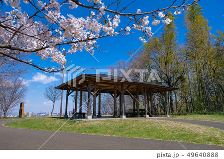 春 多摩市 都立桜ヶ丘公園 ゆうひの丘 春 多摩市 都立桜ヶ丘公園 ゆうひの丘 49640888