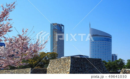 玉藻公園桜の馬場９の写真素材