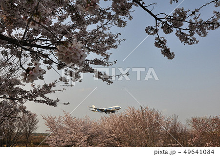 桜の丘公園747 49641084
