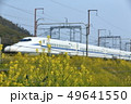 菜の花を横目に次期新型新幹線が営業運転に向けて試運転 49641550