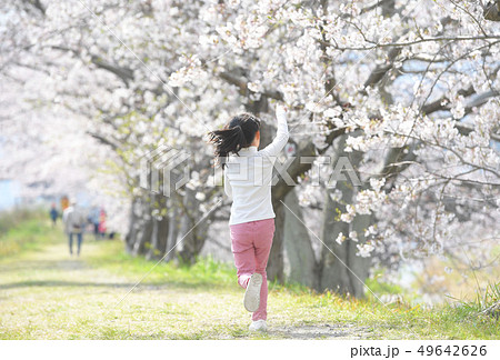 桜 49642626