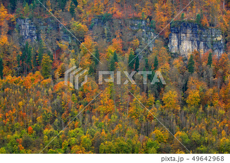 Rocky landscape during autumn. 49642968