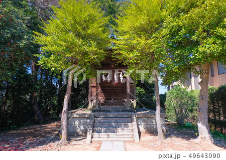 聖蹟桜ヶ丘 金比羅宮 49643090