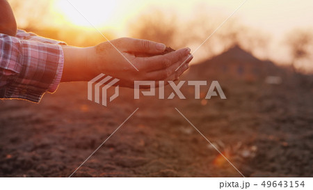 A farmer looks at the soil in his hands at sunset. A farmer looks at the soil in his hands at sunset. 49643154