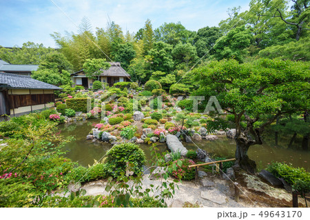 京都 等持院 初夏 49643170