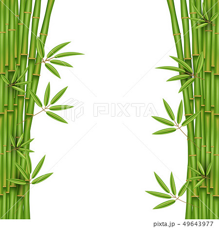 Creative illustration of chinese bamboo grass 49643977