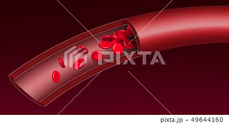 Creative illustration of artery red blood cells 49644160