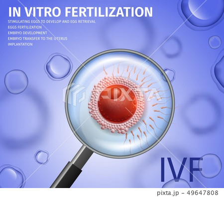 View Through Magnifier on Egg Attacked with Sperm. 49647808