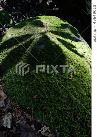 筑波山登山にて 49649018