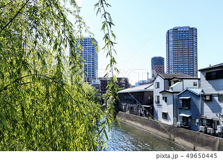 隅田川（初夏） 49650445