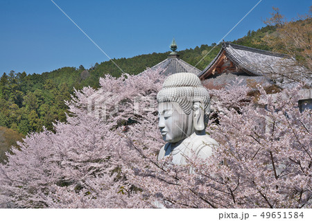 【壷阪寺 大釈迦如来石像】 奈良県高市郡高取町壷阪 【壷阪寺 大釈迦如来石像】 奈良県高市郡高取町壷阪 49651584