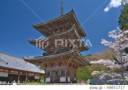 【壷阪寺 三重塔】 奈良県高市郡高取町壷阪 49651717
