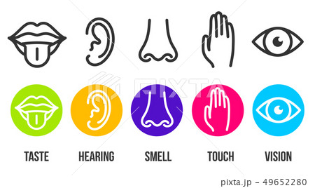 Creative illustration line icon set of five human senses. Vision, hearing, smell, touch, taste 49652280