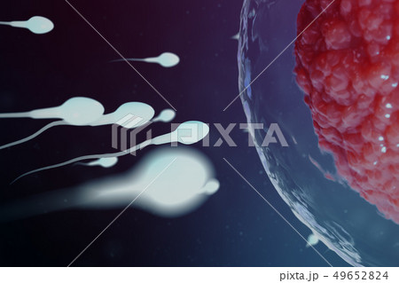 3D illustration sperm and egg cell, ovum. Sperm approaching egg cell. Native and natural 49652824