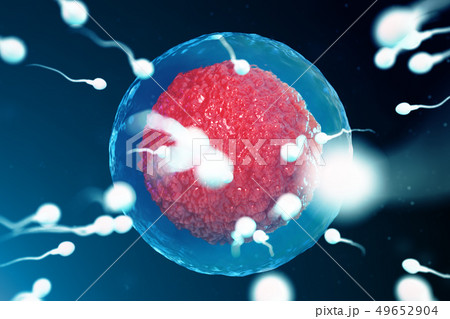 3D illustration sperm and egg cell, ovum. Sperm approaching egg cell. Native and natural 49652904