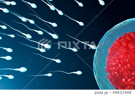 3D illustration sperm and egg cell, ovum. Sperm approaching egg cell. Native and natural 3D illustration sperm and egg cell, ovum. Sperm approaching egg cell. Native and natural 49652906