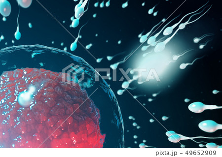 3D illustration sperm and egg cell, ovum. Sperm approaching egg cell. Native and natural 49652909