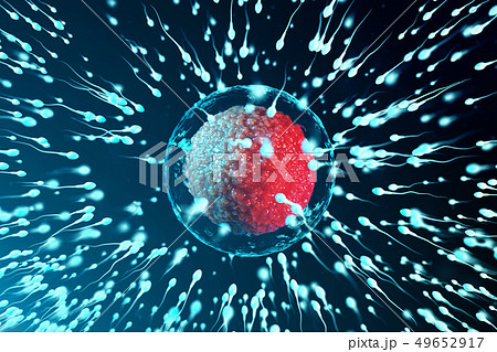 3D illustration sperm and egg cell, ovum. Sperm approaching egg cell. Native and natural 3D illustration sperm and egg cell, ovum. Sperm approaching egg cell. Native and natural 49652917