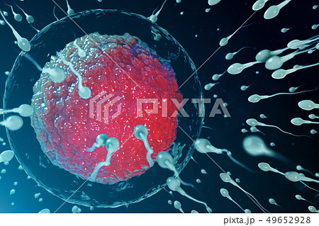 3D illustration sperm and egg cell, ovum. Sperm approaching egg cell. Native and natural 3D illustration sperm and egg cell, ovum. Sperm approaching egg cell. Native and natural 49652928