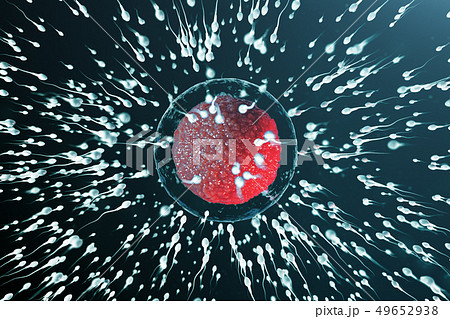 3D illustration sperm and egg cell, ovum. Sperm approaching egg cell. Native and natural 49652938