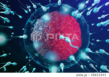 3D illustration sperm and egg cell, ovum. Sperm approaching egg cell. Native and natural 3D illustration sperm and egg cell, ovum. Sperm approaching egg cell. Native and natural 49652945