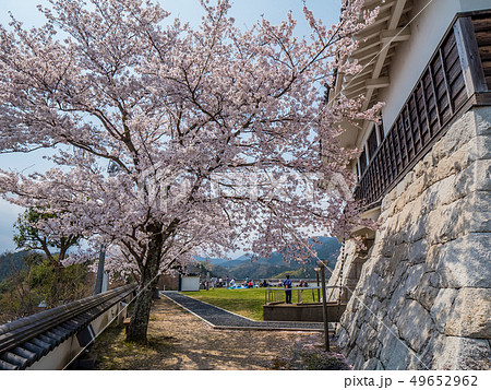 桜が満開の河原城 49652962
