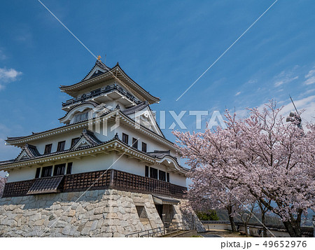 桜が満開の河原城 桜が満開の河原城 49652976
