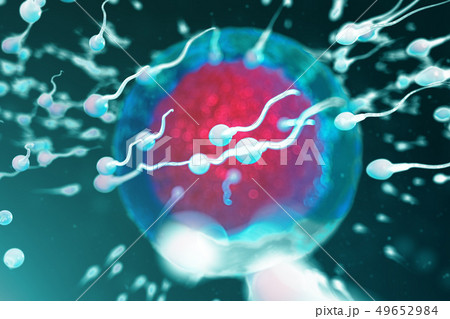 3D illustration sperm and egg cell, ovum. Sperm approaching egg cell. Native and natural 3D illustration sperm and egg cell, ovum. Sperm approaching egg cell. Native and natural 49652984