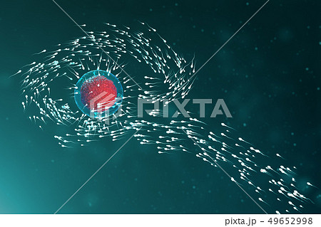 3D illustration sperm and egg cell, ovum. Sperm approaching egg cell. Native and natural 3D illustration sperm and egg cell, ovum. Sperm approaching egg cell. Native and natural 49652998