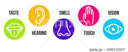 Creative illustration line icon set of five human senses. Vision, hearing, smell, touch, taste 49653007