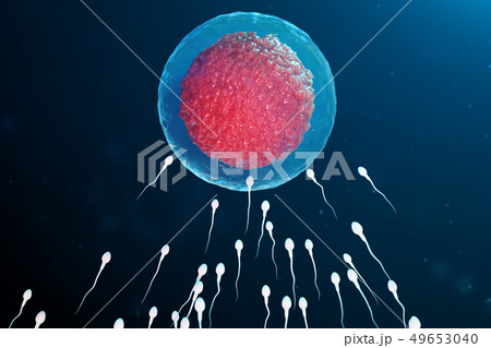 3D illustration sperm and egg cell, ovum. Sperm approaching egg cell. Native and natural 3D illustration sperm and egg cell, ovum. Sperm approaching egg cell. Native and natural 49653040